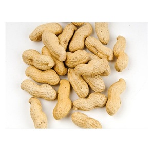 Venta caliente de alta calidad de cacahuetes al por mayor Extra grande fresco a granel orgánico crudo cacahuetes - Product Image 2