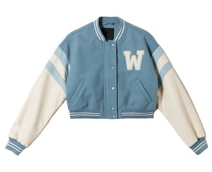 Veste universitaire en laine courte personnalisée pour femmes, style hip-hop, streetwear d'hiver avec manches en cuir brodées en chenille - Product Image 1