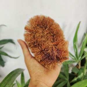 แปรงล้างจานทรงกลม Coco Coir Husk,แปรงล้างจานใยมะพร้าวสำหรับใช้ในบ้าน - Product Image 5