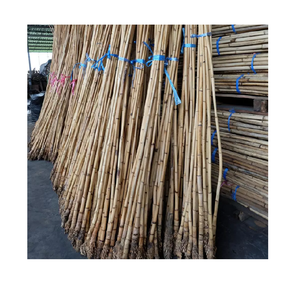 Agriculture Products 18/23mm 24/29mm 30mm Natural Raw <b>Rattan</b> <b>Cane</b> Dried Style 3M 4M Furniture Handicrafts - Product Image 2
