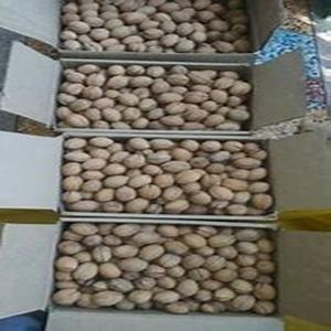 Premium Grade Raw Organic Air-Dried <b>Walnuts</b> at Competitive Price Packaged in Cartons - Product Image 2