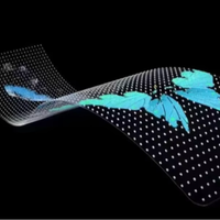 Écran flexible de transparence élevée d'affichage à LED du film P10 pour la publicité en verre de construction de mur rideau