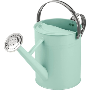 Arrosoir moderne intérieur et extérieur avec poignée pour plantes Arrosoir à fleurs Arrosoir en métal pour fournitures de jardin - Product Image 2