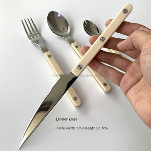 ขายดีที่สุดหรูหราสแตนเลสมีดช้อนส้อม Flatware ชุดอาหารเย็น 18/10 - Product Image 6