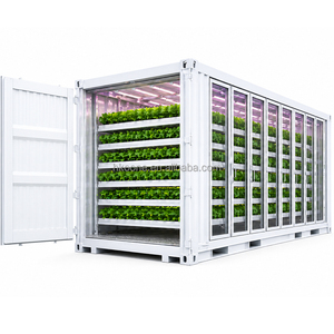 Contenedor Hidropónico para Cultivo de Vegetales de Hoja con Control Climático para Proyectos de Agricultura Inteligente en Interiores - Product Image 5