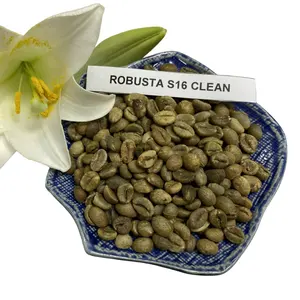 베트남 공장에서 커피 볶은 커피 콩 Robusta 고품질