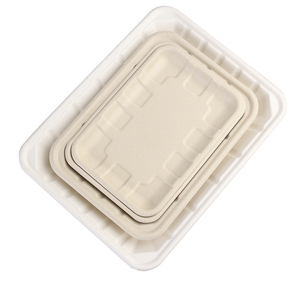 Vaisselle <span class=keywords><strong>jetable</strong></span> bon marché d'usine de bagasse de canne à sucre <span class=keywords><strong>plateau</strong></span> de viande de <span class=keywords><strong>repas</strong></span> de restauration rapide biodégradable pour le déjeuner - Product Image 4