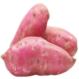 Scorte sfuse disponibili di verdure fresche patate dolci a prezzi all'ingrosso