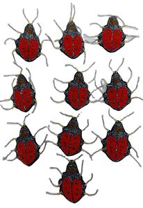 Ofertas de Parches de Bordado a Mano con Hilo Francés Dabka al por Mayor - Product Image 2