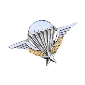 French Foreign Legion Metal Parachute Wings Best Custom Silver And Gold Metal Patches 2024