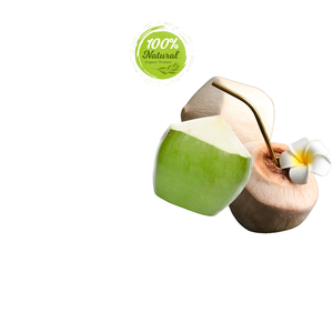 Diamant de noix de coco-Le secret de la santé intérieure - Product Image 6