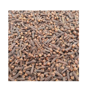 Clavo de Olor Orgánico al por Mayor, Especias de Indonesia, Nueva Cosecha, Alta Calidad para Cocinar, Agro Global Persada, 2 Años de Duración, Listo para Usar - Product Image 2