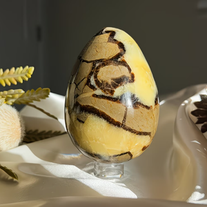 Doğal Septarian Ejderha Taşı Yumurta Büyük Boy Cilalı Kristal Jeot Mineral Örneği Ev Dekorasyonu İçin - Product Image 4