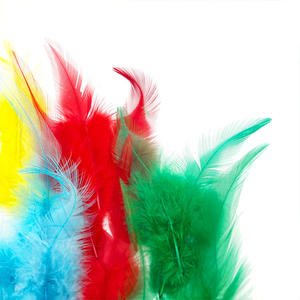 12 pièces de plumes de dinde teintes de 6 cm, longues plumes non toxiques PLOMA C502 pour l'artisanat - Product Image 6