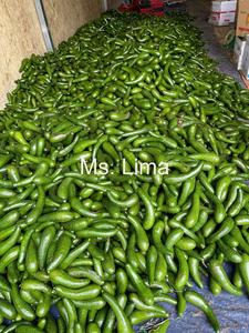 Aguacate congelado para exportación, sin OGM, variedad Hass, ideal para marcas de guacamole y batidos/Sra. Lima - Product Image 6