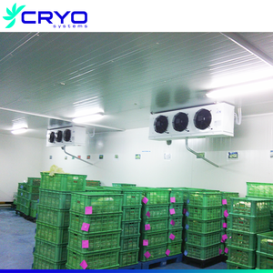 Poulet gelé entier,, pour stocker le <span class=keywords><strong>cloud</strong></span> <span class=keywords><strong>froid</strong></span>, machine commerciale, exportation - Product Image 2