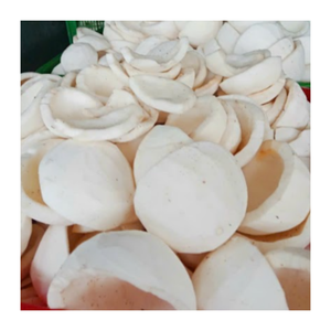 Carne de coco congelada de Vietnam | Premium IQF Coco | Fruta natural dulce y saludable para postres batidos Exportación al por mayor - Product Image 3