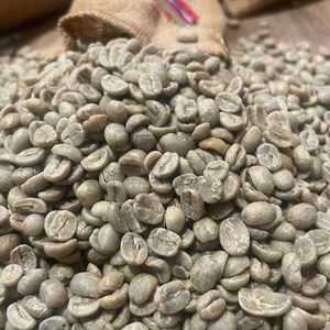 Certified USDA Specialty Robusta <b>Roasted</b> <b>Coffee</b> <b>Beans</b> Size 16 Vietnam High Quality G1 G2 Factory Direct Export Only 0.1% Black - Product Image 1