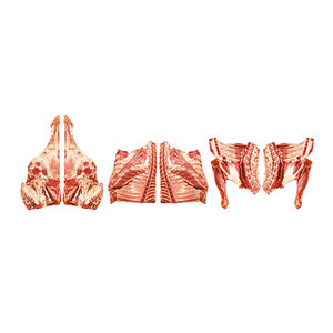 Viande de mouton halal surgelée de qualité supérieure, en boîte, coupes de corps, cuisse, épaule, avec ou sans os, prête pour les réseaux de distribution des chaînes mondiales - Product Image 2