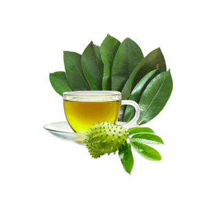 Fournisseur vietnamien d'exportation proposant du thé en sachet à base de feuilles de corossol combiné à de la poudre de guanabana, emballage en vrac au meilleur prix - Product Image 6