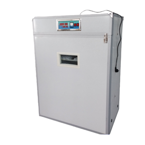 Incubadora de Huevos Automática EJIN, Gran Capacidad, Alta Tasa de Incubación del 99%, Voltaje 220/110V, Bandeja Incluida para Huevos de Pavo - Product Image 6