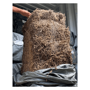 Polvo de hierba de gelatina negra vietnamita para gelatina dulce a buen precio para exportación Venta caliente natural Palo de hoja de hierba de gelatina negra seca - Product Image 4