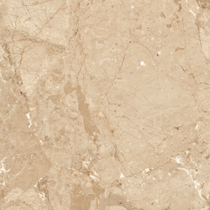 Fabrication de carreaux imprimés à faible absorption d'eau en Inde pour la grande villa de luxe. - Product Image 4