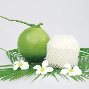 Hot products - coconut jelly from fresh coconut with moderate sweetness