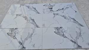 COASTAL <b>TILES</b> LLP 2x4 Porcelain Floor <b>Tiles</b> Various Sizes Glossy Finish High Quality Premium <b>Tiles</b> for Hotel Use 9mm Thick - Product Image 6