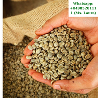 Café Vert Robusta du Vietnam de Haute Qualité, Récolte Fraîche, Lavé et Non Lavé, Marque Phalco Vietnam, Sacs de Jute de 60 kg au Meilleur Prix