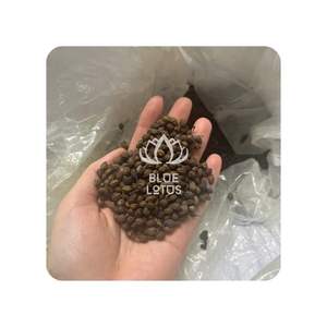 ราคาดีที่สุด เมล็ดมะละกอแห้งบลูโลตัส 2025 ยาสมุนไพรธรรมชาติเพื่อสุขภาพทางเดินอาหาร - Product Image 1