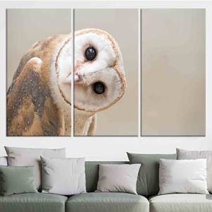 Elegante obra de arte impresa en lienzo: diseño gráfico moderno para decoración del hogar, JUEGO DE 3 LIEÑOS - Product Image 1