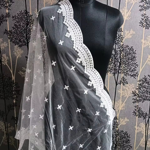 Fantaisie Papillon Brodé Dupatta Georgette Tissu pour Filles Style Uni Tissé Techniques Mémoire Caractéristique PA Enduit Moyen - Product Image 1