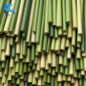 Pajitas de hierba de Lepironia natural para un estilo de vida verde - Product Image 2