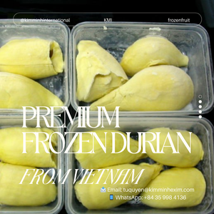 Vente en gros de durian congelé IQF du Vietnam sans pépins de qualité supérieure et avec des graines conservées par l'eau - Product Image 3