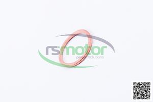 Anillo de sellado MWM para piezas de motor de maquinaria - Product Image 3