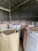 Pelet Biomassa Kayu Lunak Berkualitas Tinggi GREENLIFE ASIA 8mm Bentuk Gumpalan 4800J Kalori 3% Abu 8% Kelembapan 750kg/m3 Kepadatan