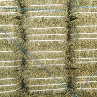 Foin de blé Timothy de qualité supérieure, frais, séché, naturel, en vrac, riche en protéines pour lapins, cochons d'Inde, petits animaux et poissons