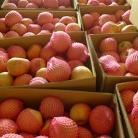 Groothandelsprijs Appelfruit Biologische Zoete Verse Rode Fuji Appel