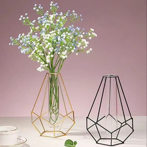 Nordic Gold Geometric <b>Glass</b> Vase Modern Hydroponic <b>Test</b> <b>Tube</b> Plant Holder Minimalist Metal Flower Vase Luxury Desktop - Product Image 1