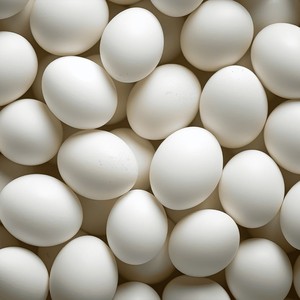 Huevos Frescos de Gallina Blanca Premium, Yemas de Huevo de Mesa, Empaque a Granel, Alta Calidad, Precio de Fábrica, Exportación Directa de Granja, Mejor Oferta con Descuento - Product Image 5