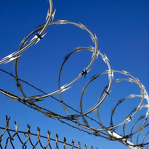 Thích ứng dây thép gai nhựa để thép không gỉ xoắn ốc Hàn lưới trang trại để phạm vi an ninh dễ dàng cuộn định dạng dao cạo dây thép gai - Product Image 5