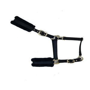 Caballo Halter de alta calidad, montar a caballo, PP Halter, disponible al mejor precio - Product Image 1