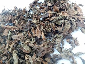 Feuilles de gelée d'herbe séchées pour la nourriture avec des produits de haute qualité-prix compétitif sur le marché en 2022 - Product Image 3