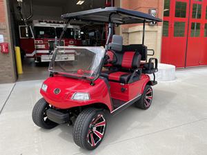 Voiturettes de golf d'occasion certifiées à vendre - Product Image 2