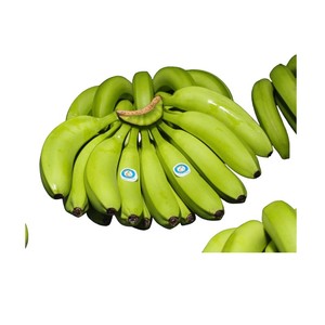 Exportation précise-Assurer la perfection dans chaque envoi de bananes Cavendish - Product Image 3