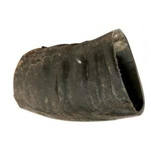 Premium Large Natural Water Buffalo Tuffie Cut Horn Chew Hollow Bully Sticks Dog Treats and Pet Food Chews from India - Product Image 1