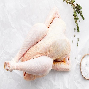 Pollo Entero y en Piezas Congelado de Primera Calidad, Compre Pollo Entero Congelado Perfecto, Entrega Rápida, Fresco y Tierno, Opción de Mayoreo - Product Image 4