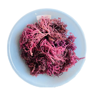 Mousses marines fraîches séchées brutes violettes de qualité supérieure, mousse marine irlandaise Eucheuma Cottonii, algues marines séchées pour les commandes internationales - Product Image 2