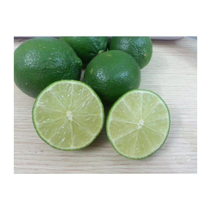 ส่งออกจากเวียดนามมะนาวสด-มะนาวเขียวฉ่ำไร้เมล็ดสำหรับทำอาหารใช้ในเครื่องดื่ม - Product Image 1